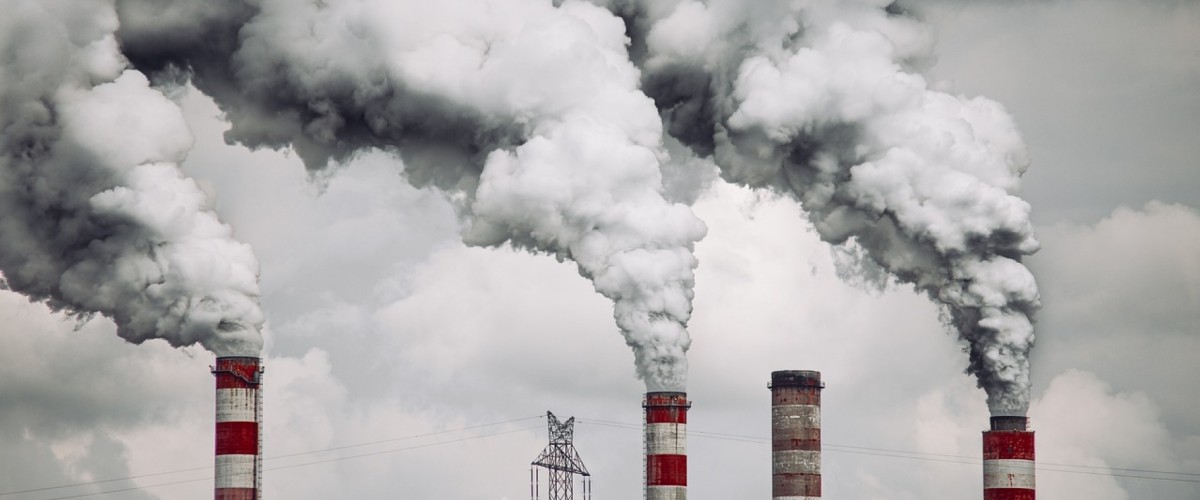 Baza zakładów produkcyjnych karm