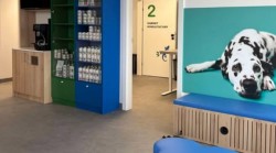 Całodobowa opieka weterynaryjna w Szczecinie