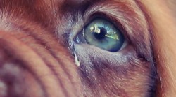 Najlepszy wybór gdy za mało łez