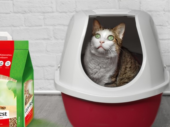 Cats best -  czyli ekologia w kuwecie kota