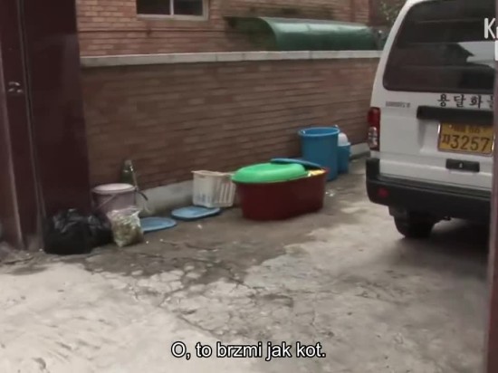 Miłość silniejsza niż śmierć