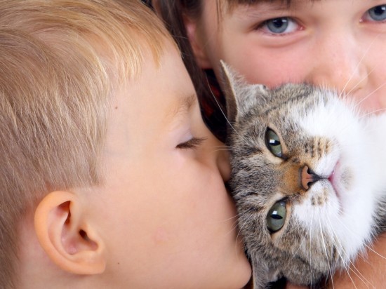 Napięte relacje kota z dzieckiem