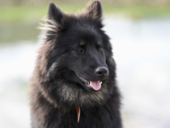 Czy bezzbożowo na pewno jest zdrowo?