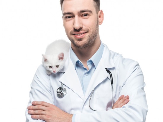 Twój zwierzak ma aktualne szczepienia?