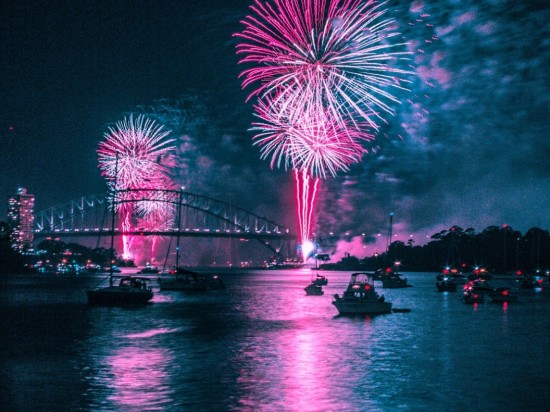 Mój zwierzak boi się wystrzałów na sylwestra