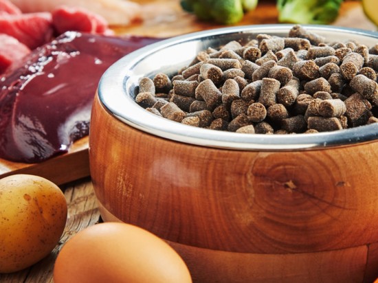 Jaka jest zawartość mięsa w karmie twojego psa lub kota