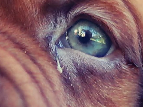 Najlepszy wybór gdy za mało łez