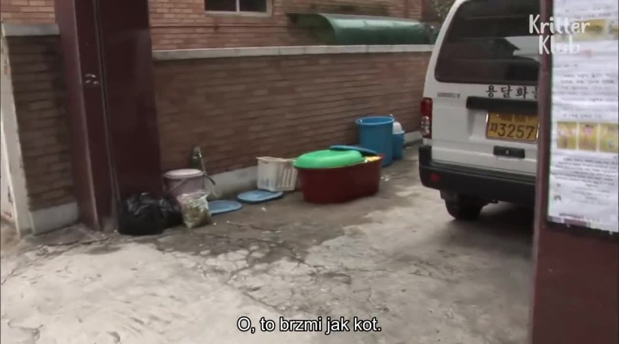 Miłość silniejsza niż śmierć