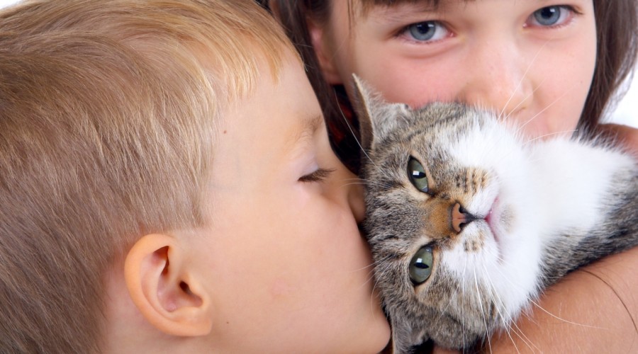 Napięte relacje kota z dzieckiem