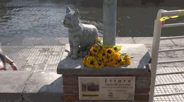 Nieznana historia kota z molo