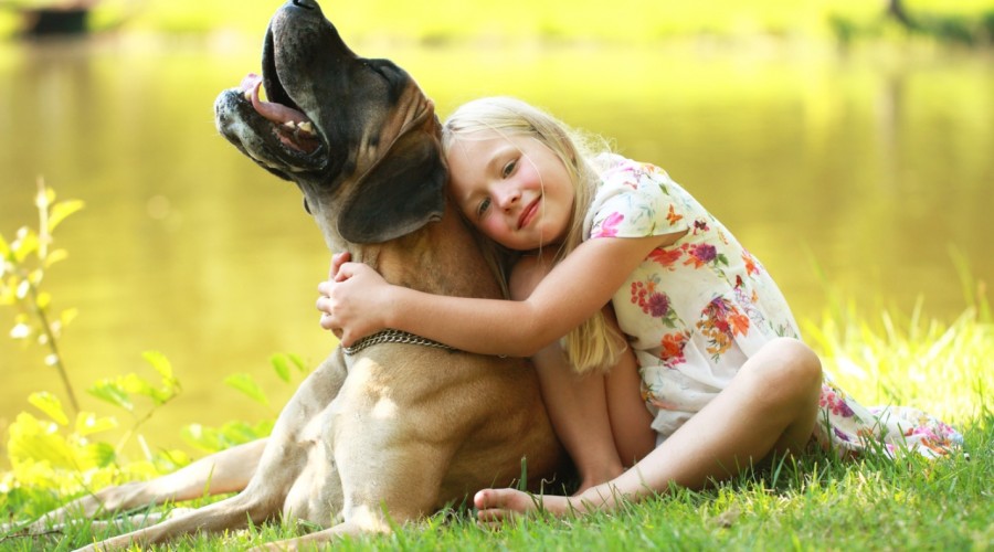 Dogoterapia