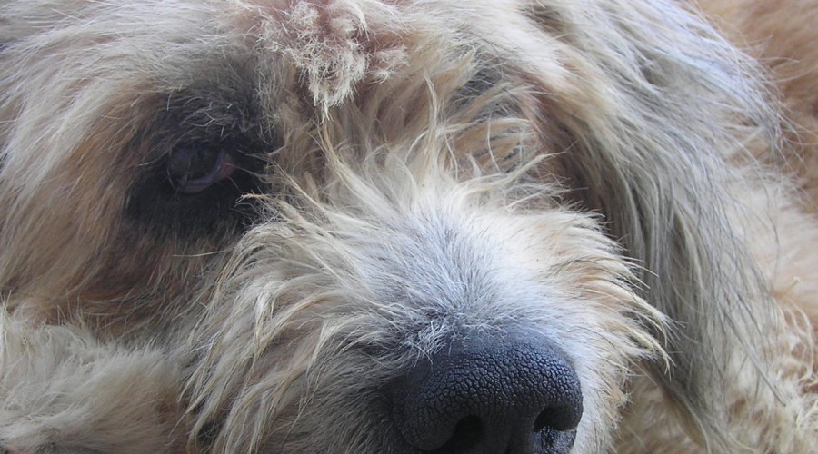 Dieta przy niedoczynności tarczycy