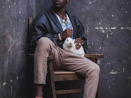 Uśmierzanie bólu królika jakie leki? 