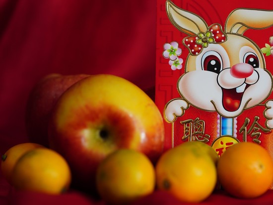 Nudnosci i wysoki poziom wapnia u krolika