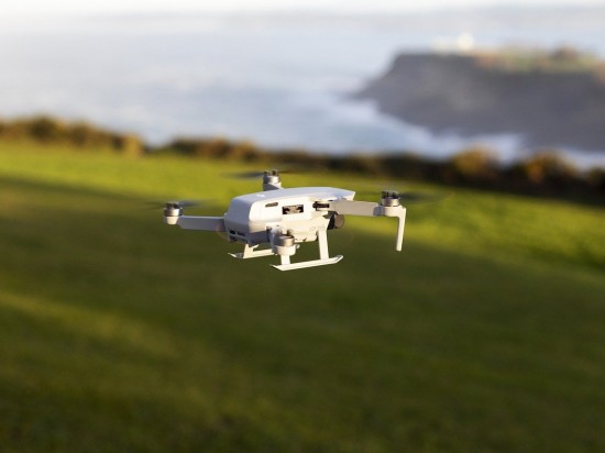 Problem z akceptacją u królika